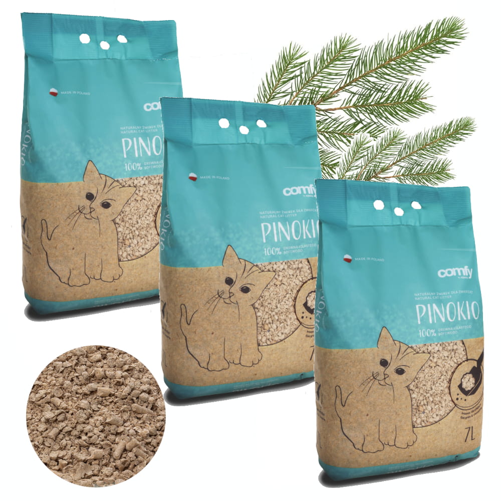 pinokio kocięta x3.jpg
